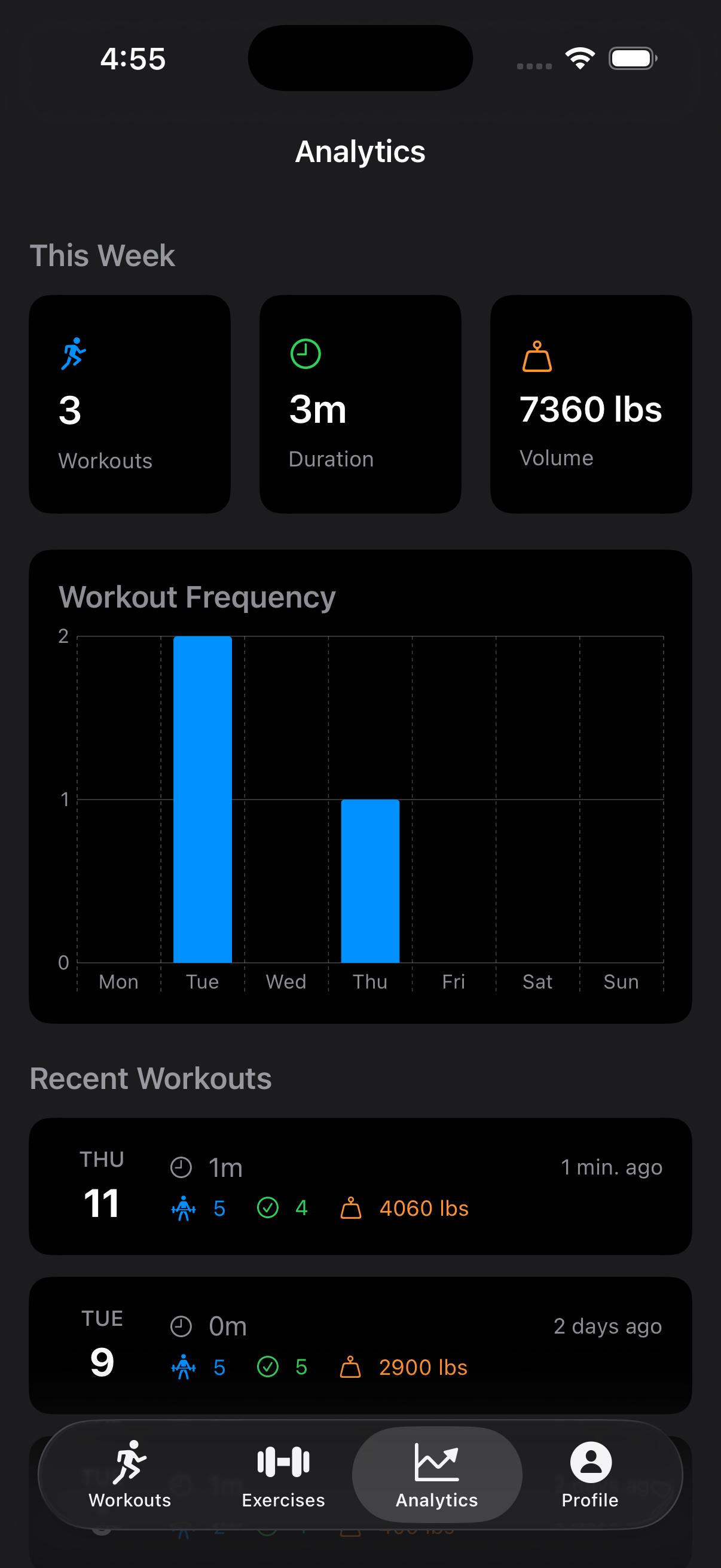 Workout history and analytics